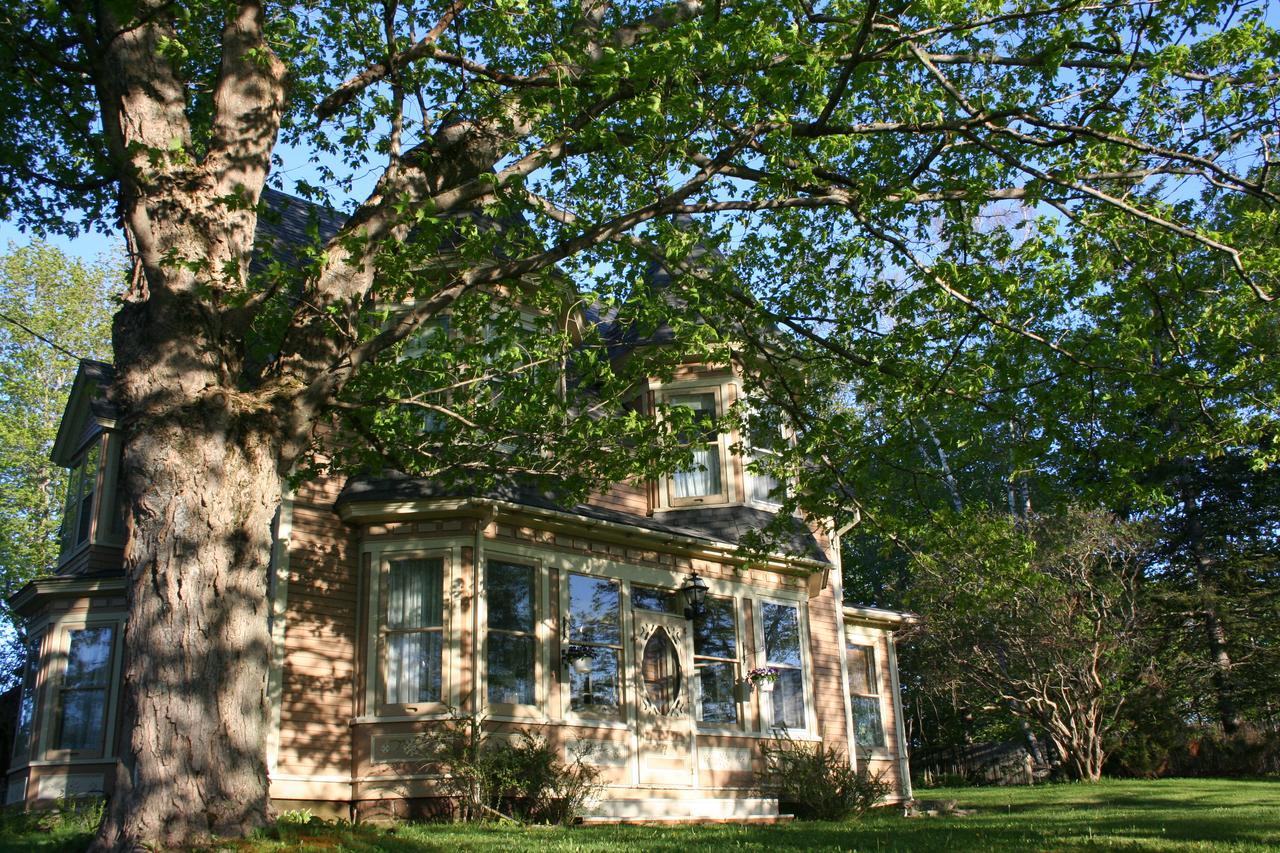 Sackville Bed And Breakfast المظهر الخارجي الصورة